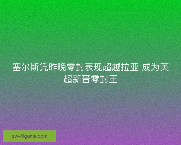 塞尔斯凭昨晚零封表现超越拉亚 成为英超新晋零封王